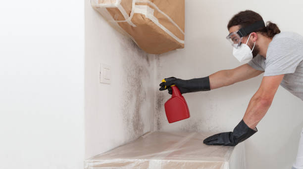 Professional Crawl Space Mold Remediation technician working in Crownsville, MD