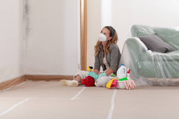 Reliable Crawl Space Mold Remediation contractor in Crownsville, MD by Car Mold Remediation