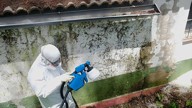 Top rated local Crawl Space Mold Remediation specialists in Crownsville, MD